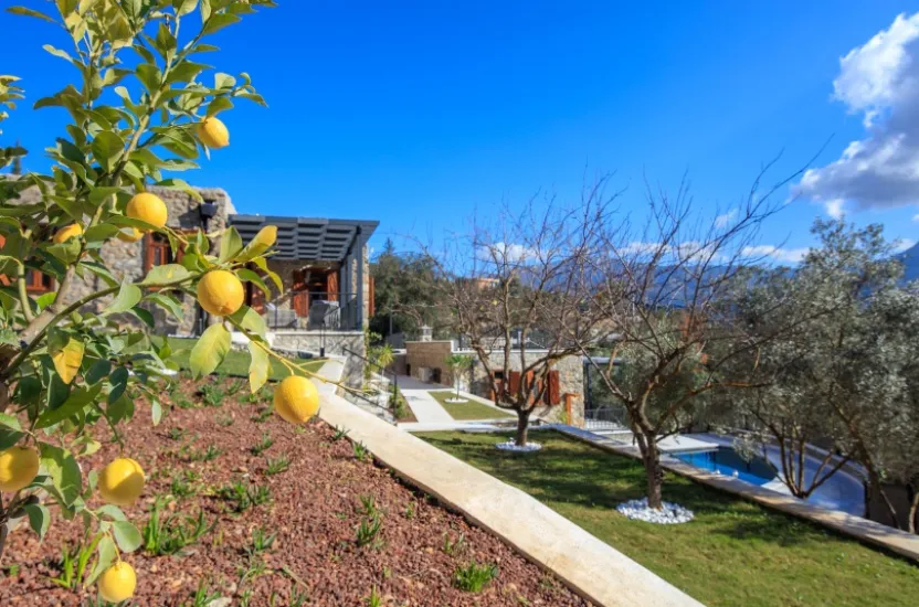 VILLA KAYA TERRACE